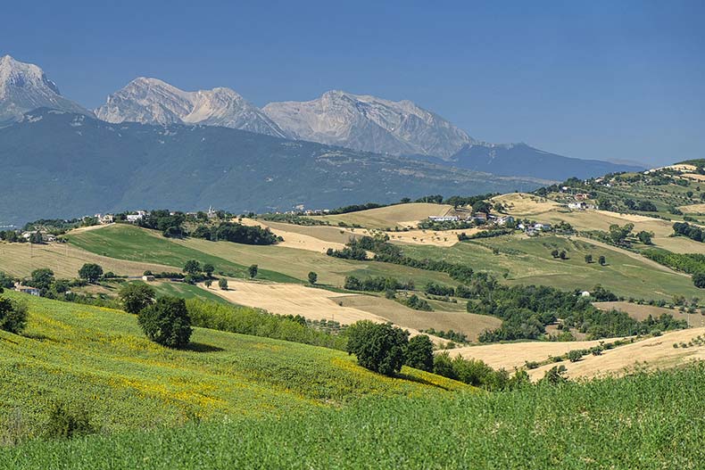 Colli di Coppi Colli di Coppi
