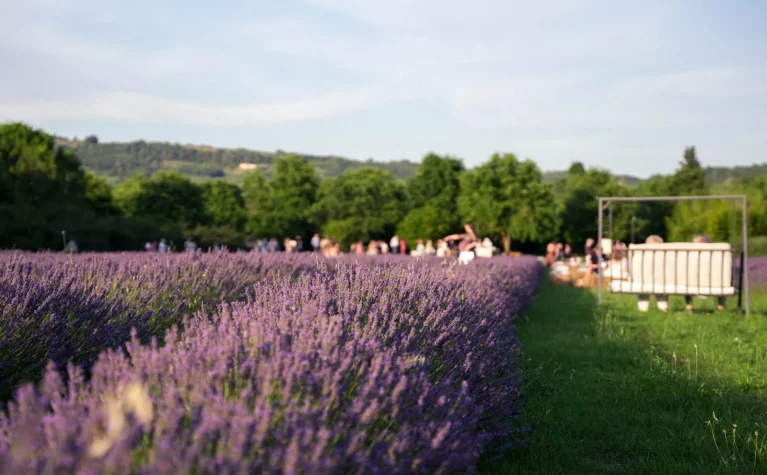Agriturismo Il Molinello