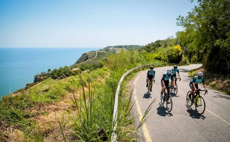 Hotel Dory and Suite