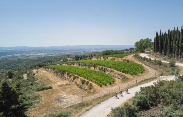 Gravel su strada bianca