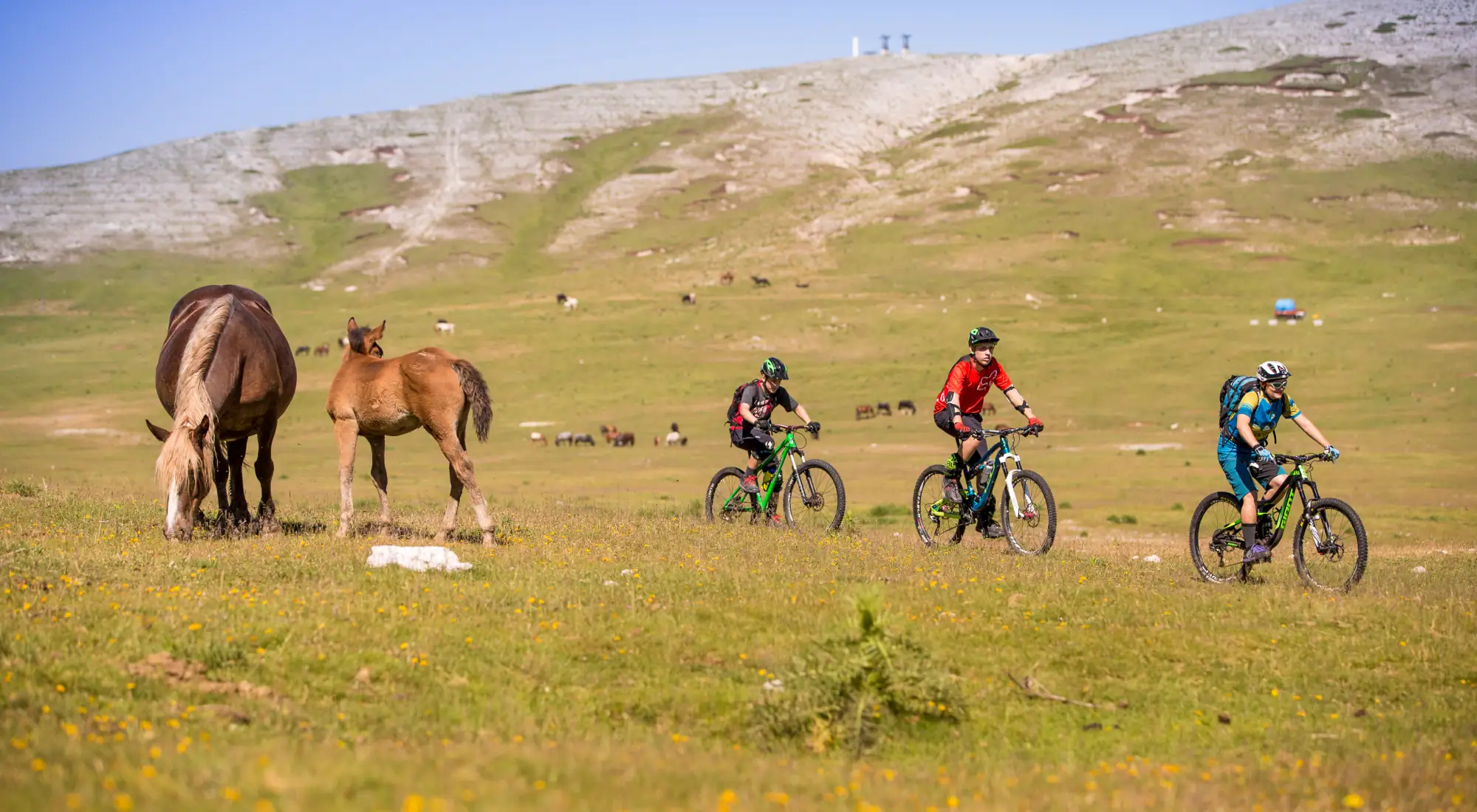 <span>LOISIRS</span> vacances à vélo et e-bike