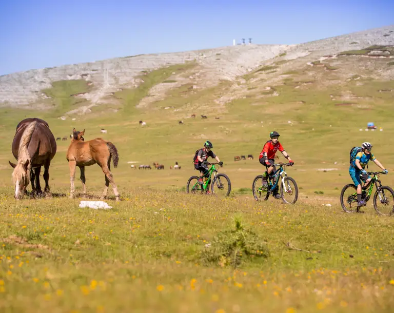 <span>LOISIRS</span> vacances à vélo et e-bike