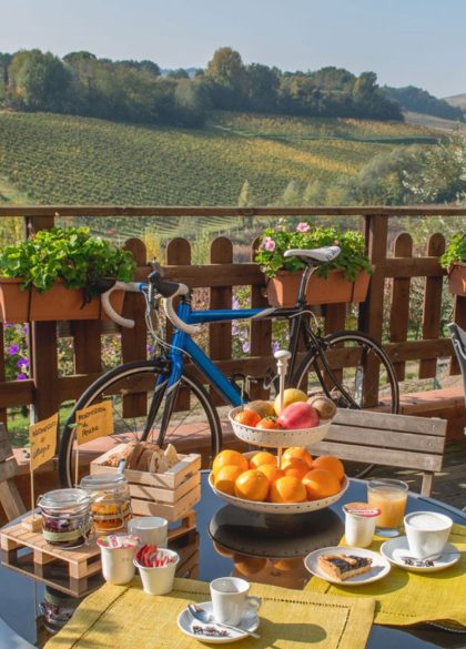 Côte et collines de l'Adriatique