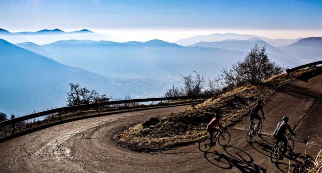 PIRATE versus REQUINS