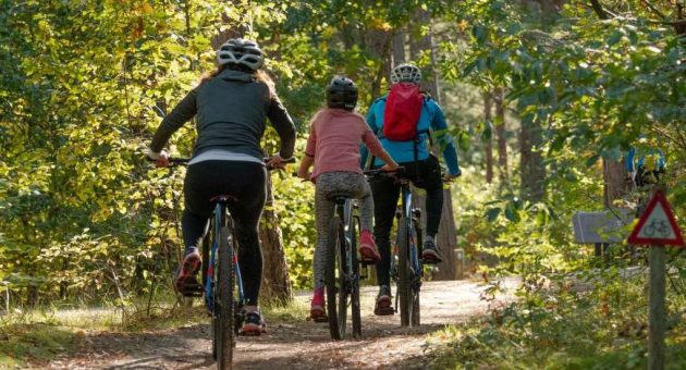 ENTRE HISTOIRE ET NATURE