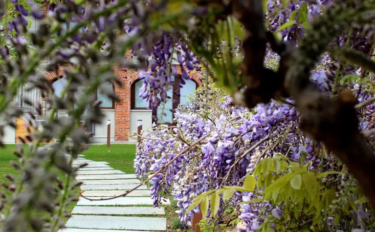 Casa BART Bike & Outdoor Hospitality