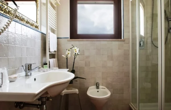 Olivo Double Supérieure